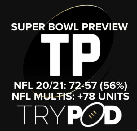 SUPER BOWL PUNTING PREVIEW
